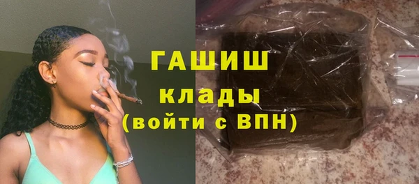твердый Гатчина