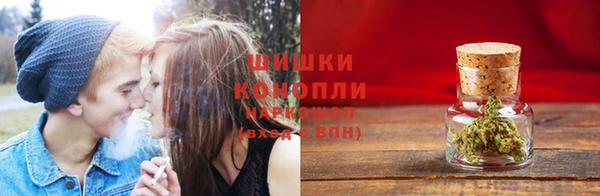 прущий лед Пересвет
