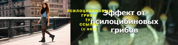 прущий лед Пересвет